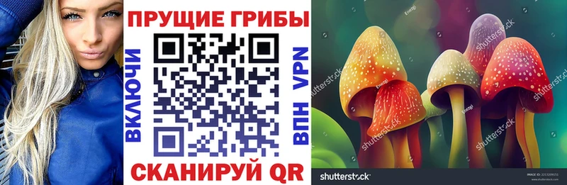 наркошоп  Новый Оскол  Псилоцибиновые грибы MAGIC MUSHROOMS 